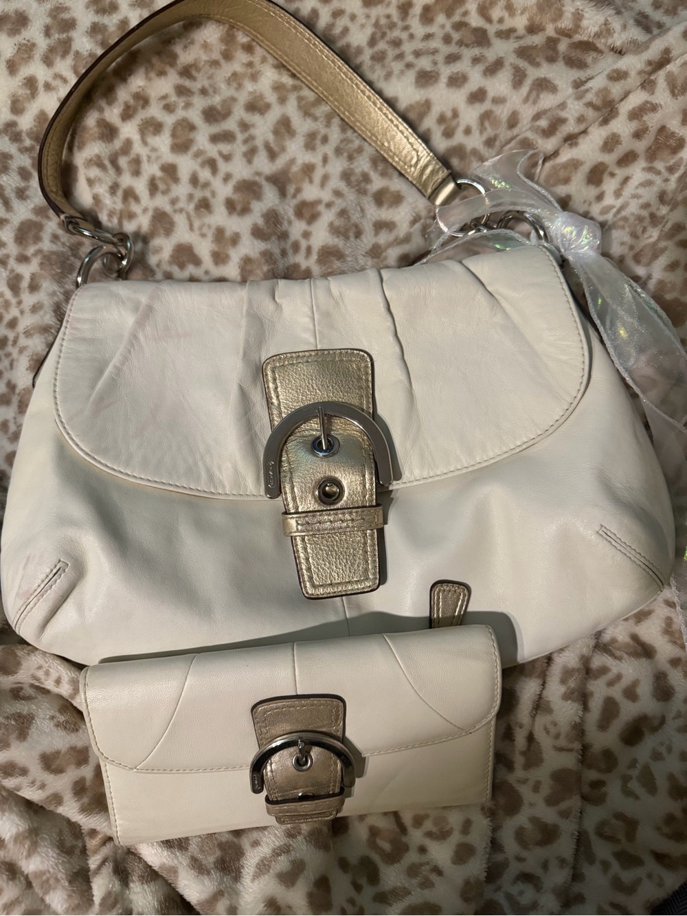 Vintage coach bag set